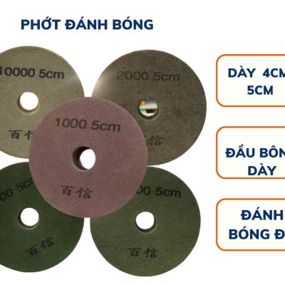 phớt đánh bóng